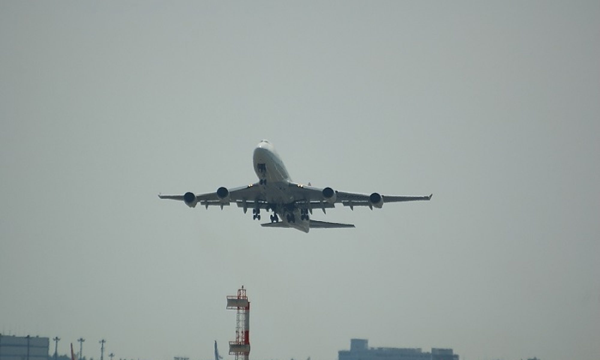 暮らしに役立つ情報便